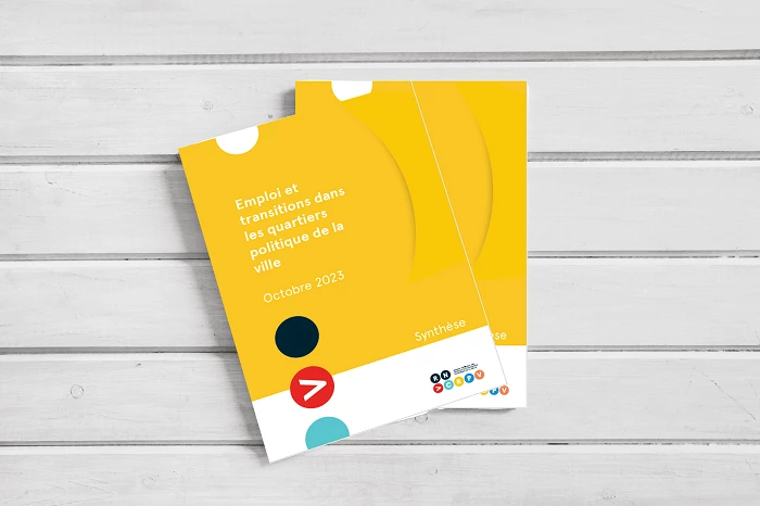 mock-up-emploi-transition